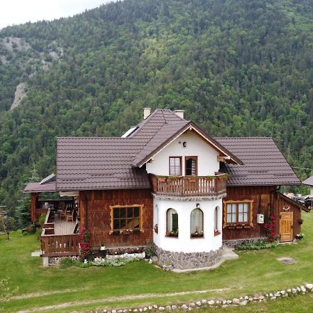Casa Muchia Lui Girnita Villa Braşov Exteriör bild