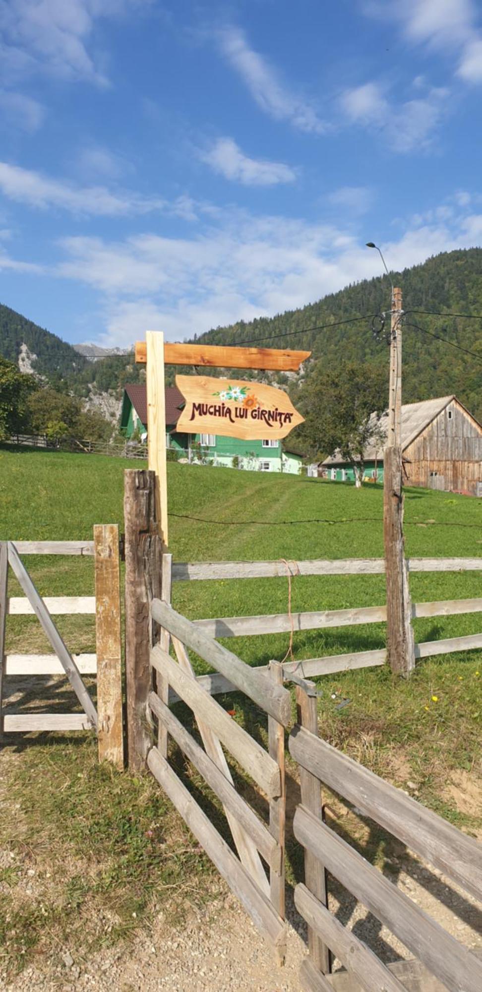 Casa Muchia Lui Girnita Villa Braşov Exteriör bild